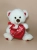 IMG_20260305_190150.webp